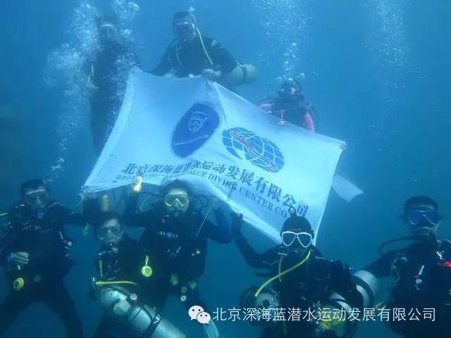 拯救枯树